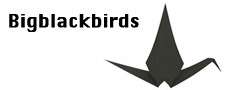 Bigblackbirds