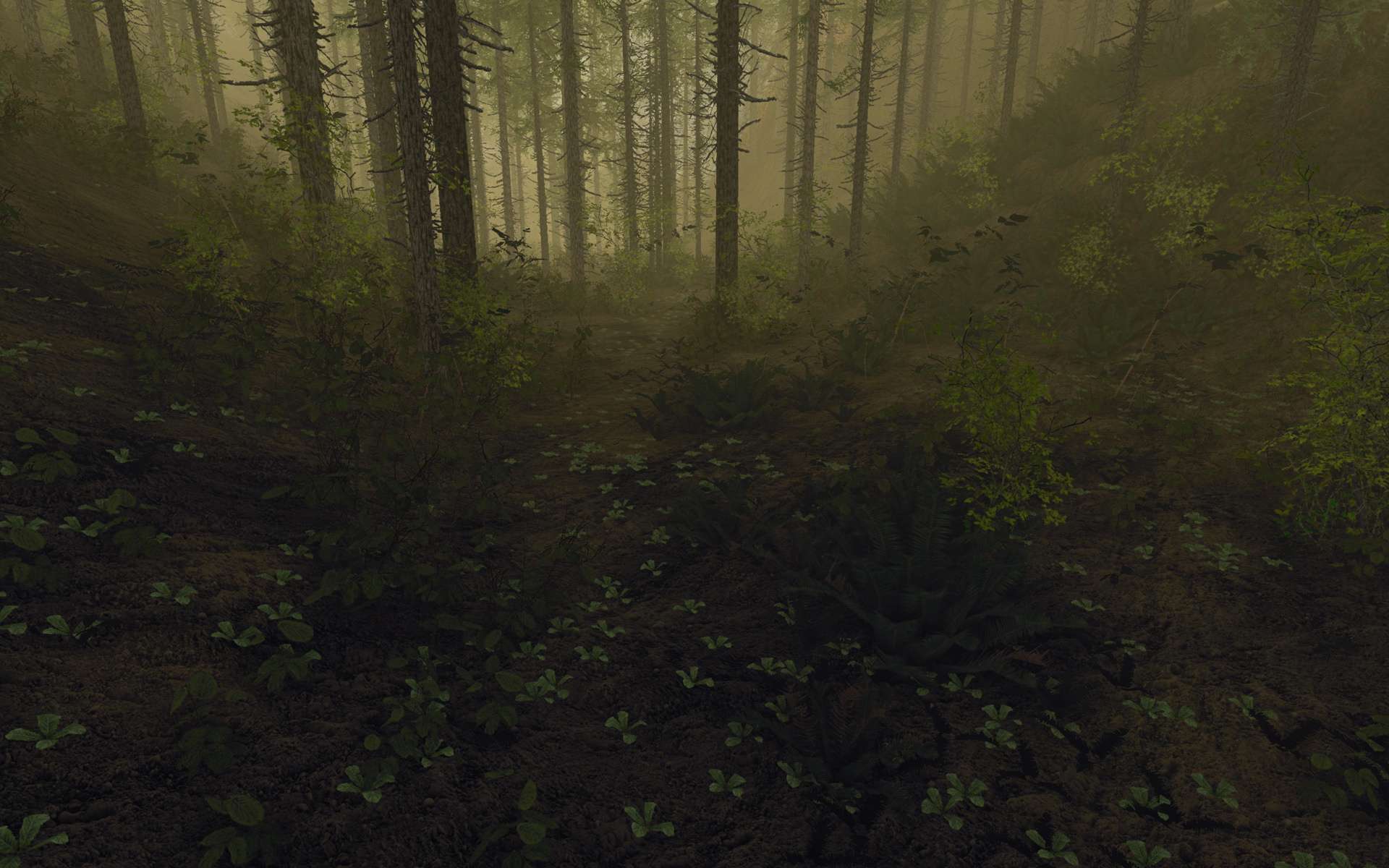 forest3.jpg